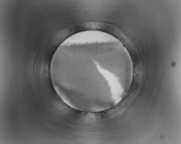 X0000116830330201001081443