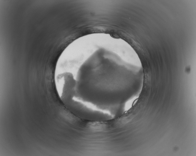 X0000116830331201001081443