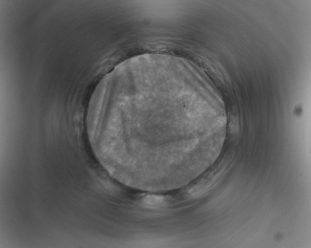 X0000116830332201001081443