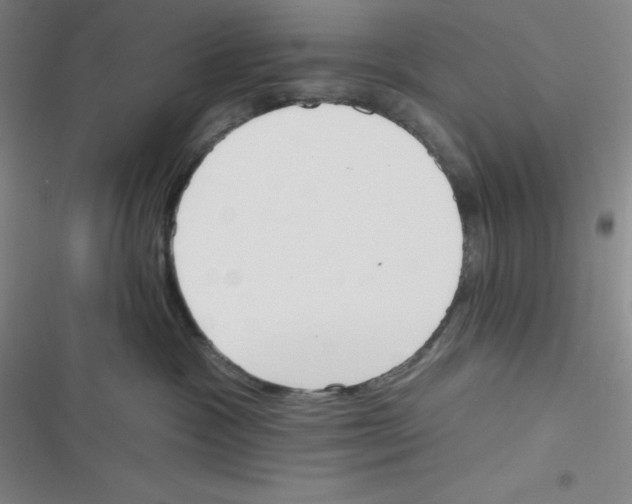 X0000116830333201001081443