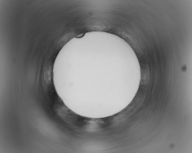 X0000116830334201001081443