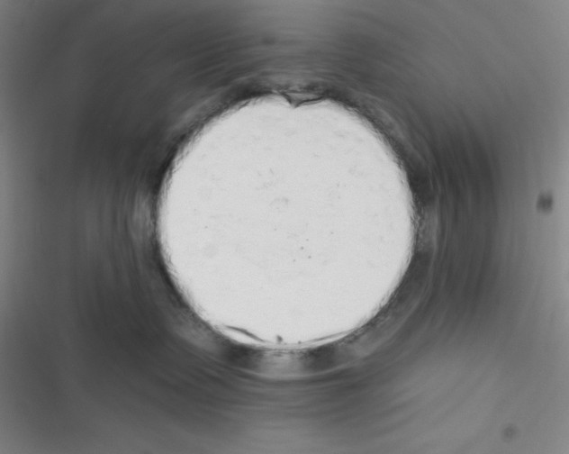 X0000116830335201001081443