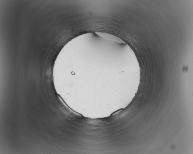 X0000116830336201001081443