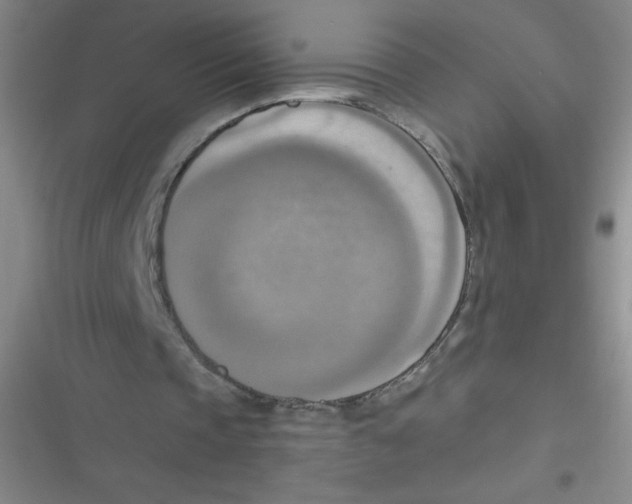 X0000116830337201001081442