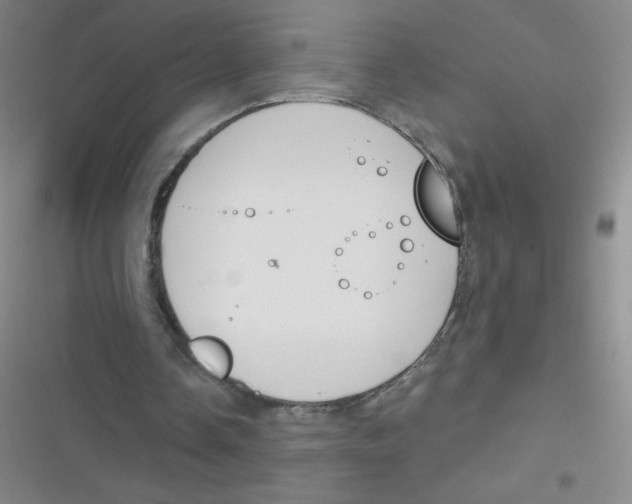 X0000116830338201001081442