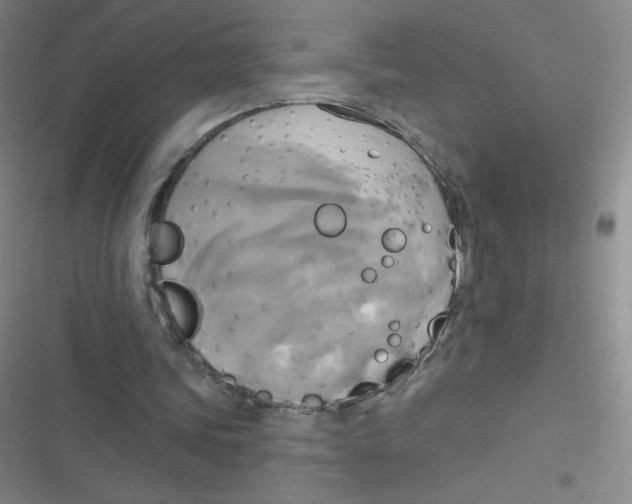 X0000116830339201001081442