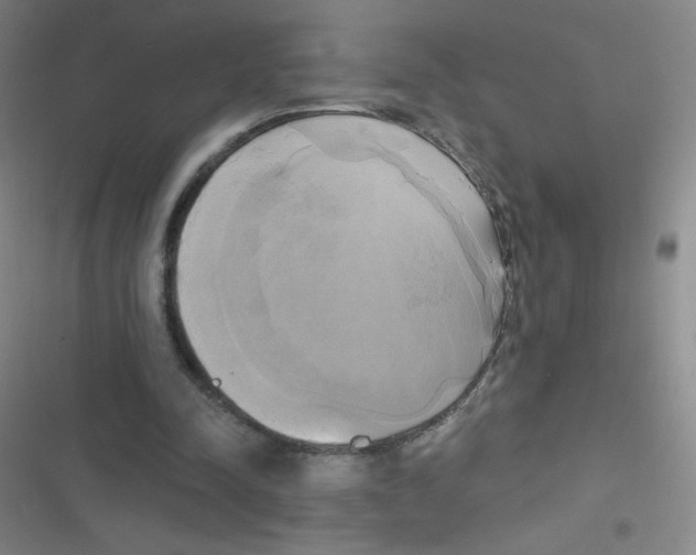 X0000116830342201001081442