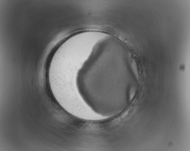 X0000116830343201001081442