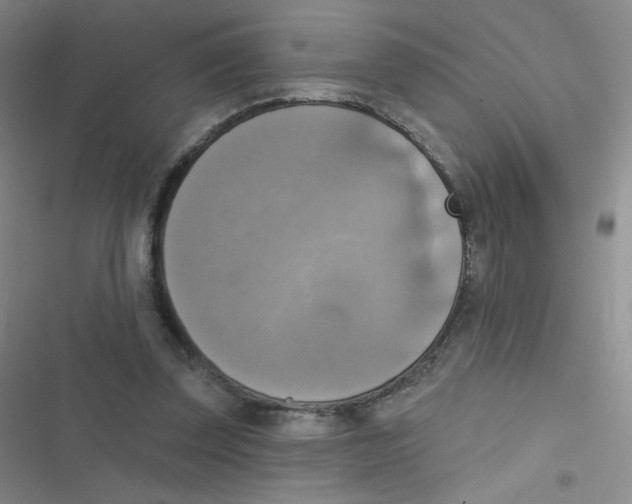 X0000116830347201001081442