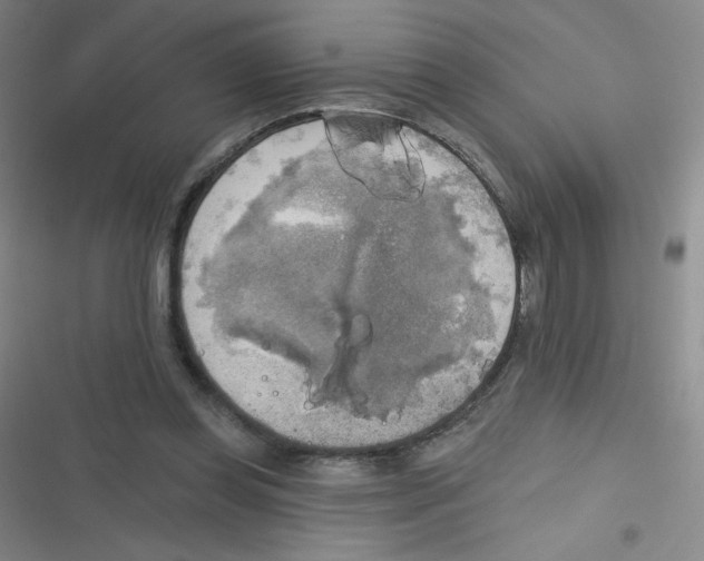 X0000116830349201001081442