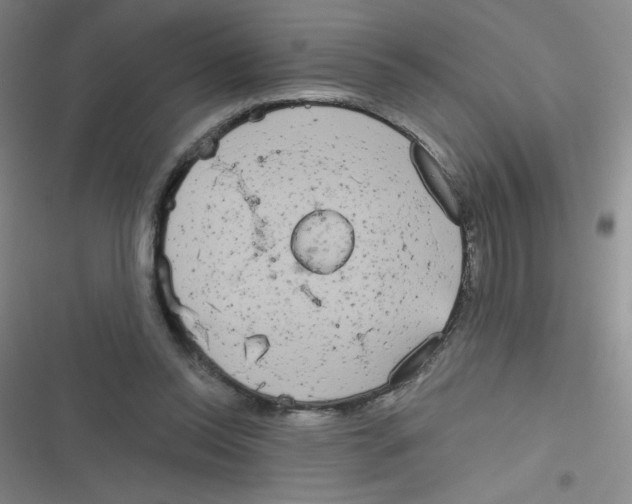 X0000116830350201001081442