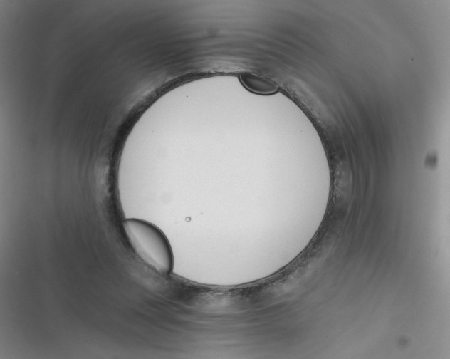 X0000116830351201001081442