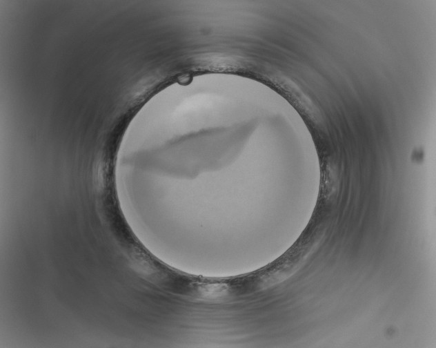 X0000116830355201001081442