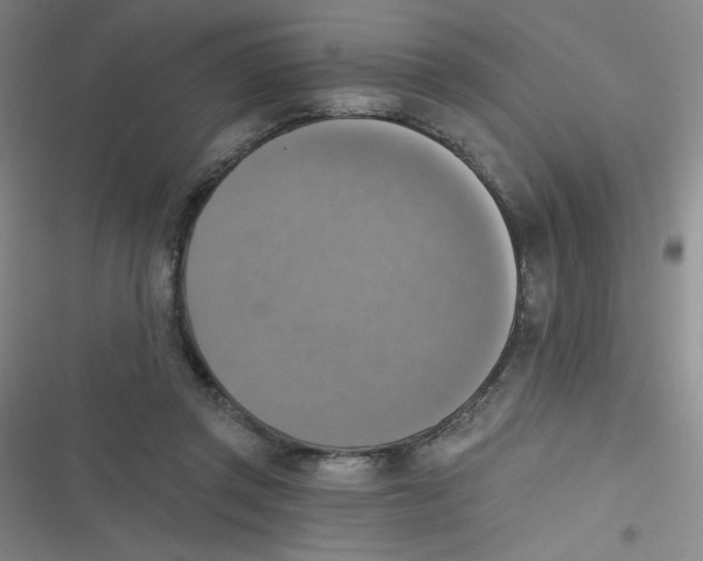 X0000116830357201001081442