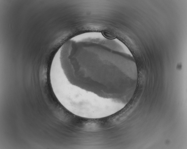 X0000116830358201001081442