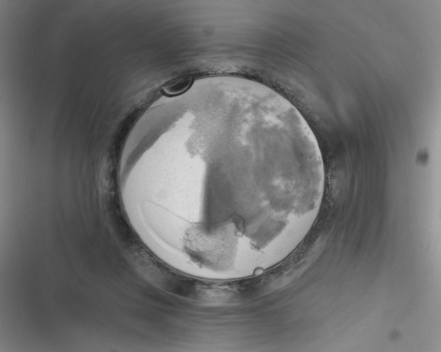 X0000116830359201001081442