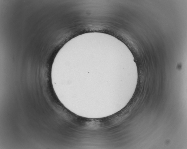 X0000116830362201001081442