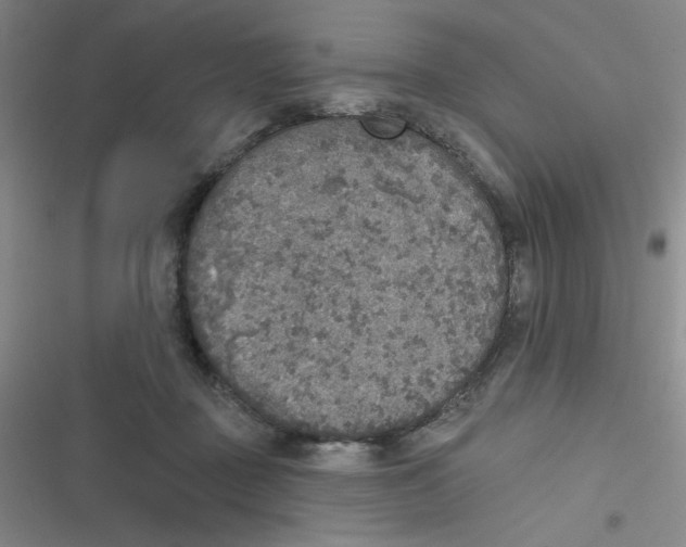 X0000116830363201001081442