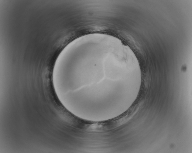 X0000116830366201001081442