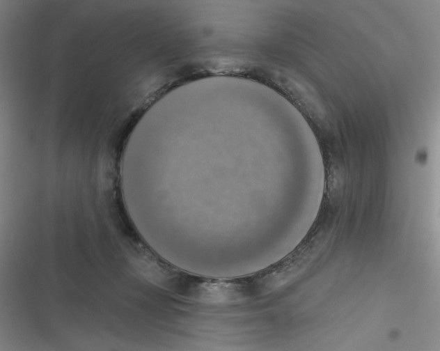 X0000116830367201001081442