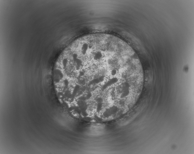 X0000116830369201001081442