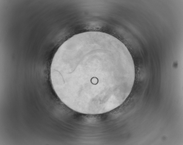 X0000116830370201001081443