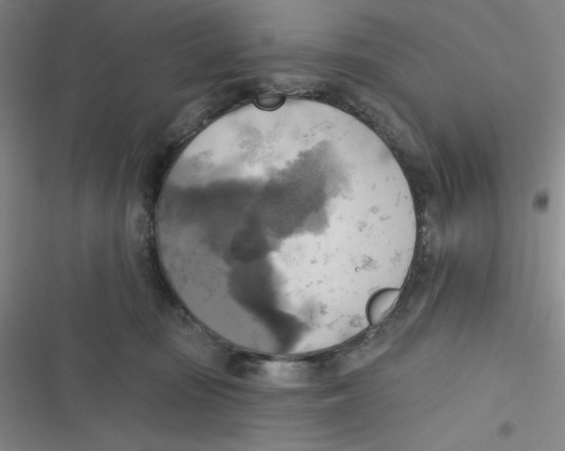 X0000116830371201001081443