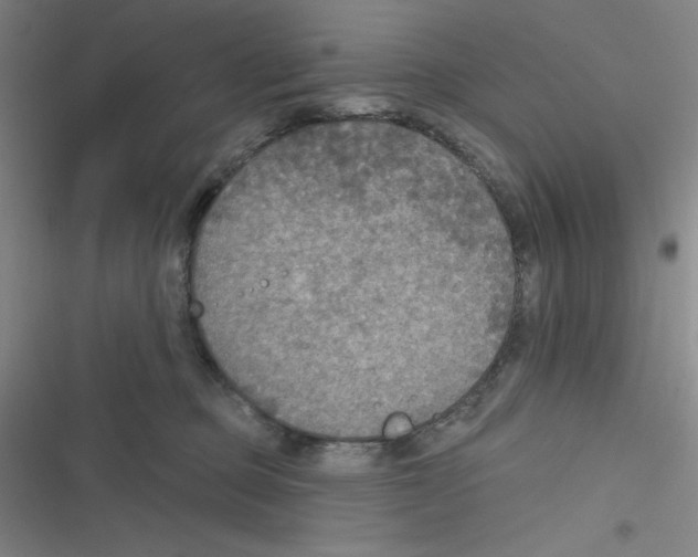 X0000116830373201001081443