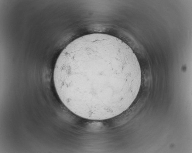 X0000116830374201001081443