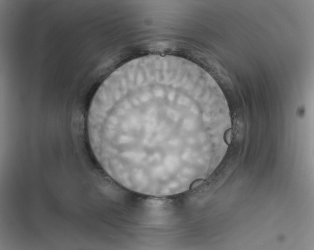 X0000116830375201001081443