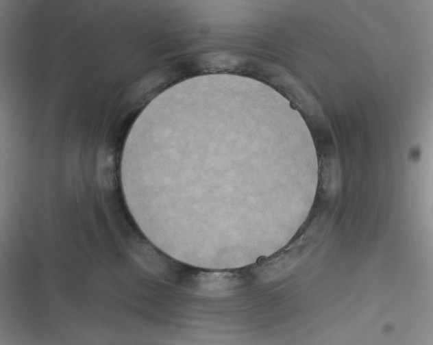 X0000116830378201001081443