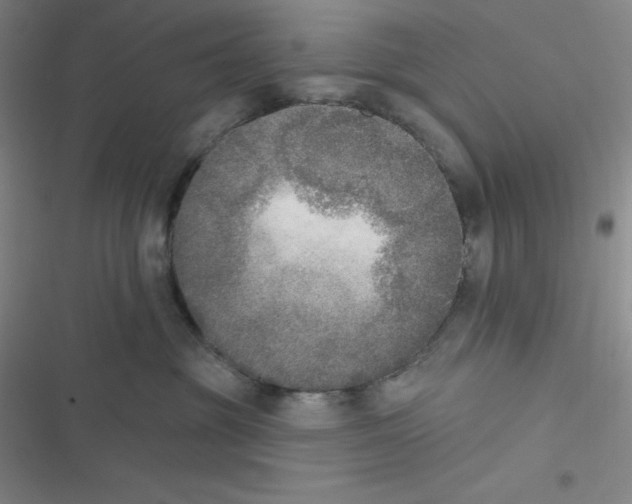 X0000116830381201001081443