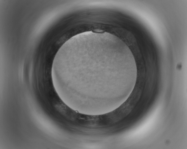 X0000116830382201001081443