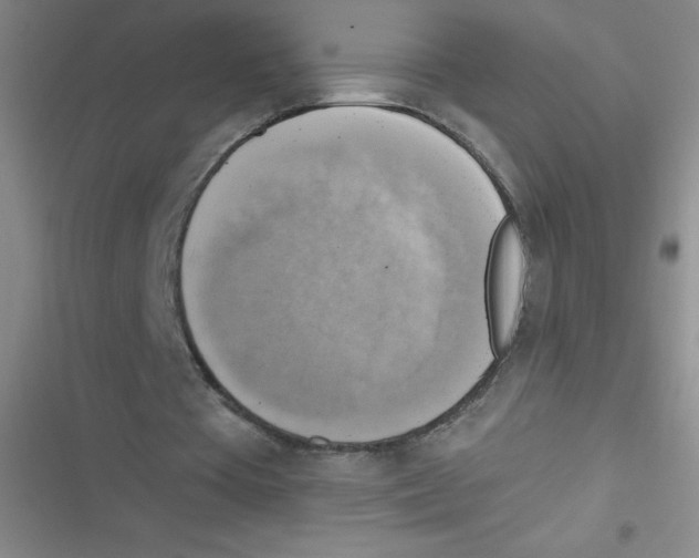 X0000116830385201001081442