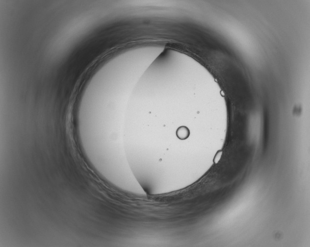 X0000116830387201001081442