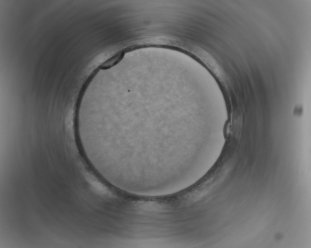 X0000116830389201001081442