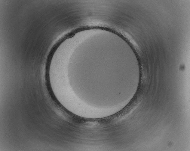 X0000116830391201001081442