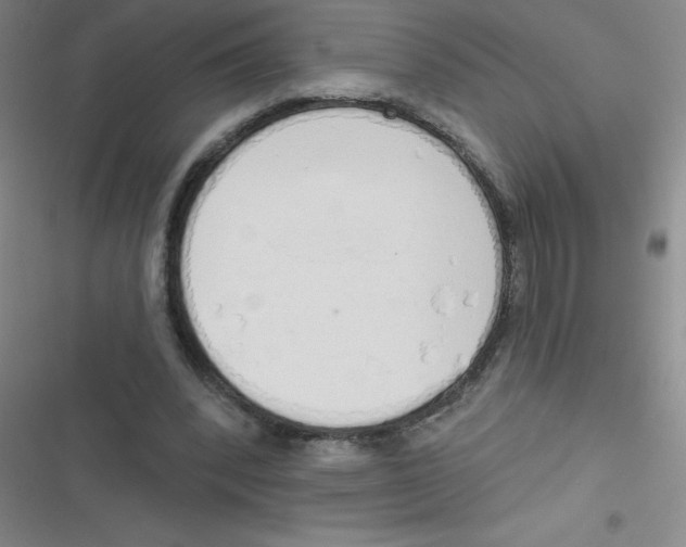 X0000116830392201001081442