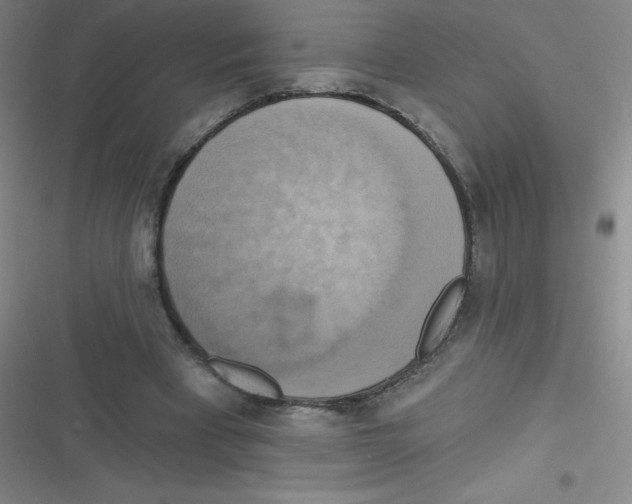 X0000116830393201001081442