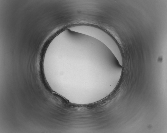 X0000116830395201001081442