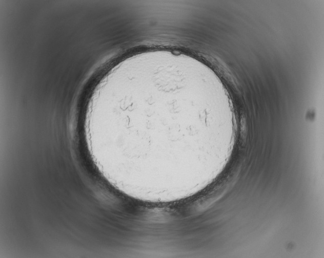 X0000116830396201001081442