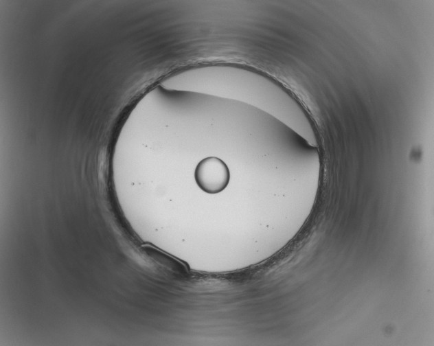 X0000116830397201001081442