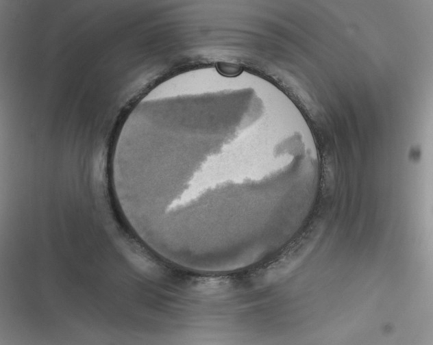 X0000116830398201001081442