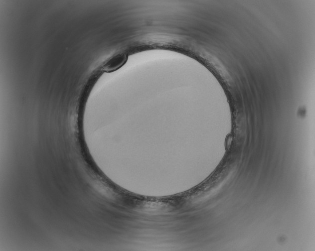 X0000116830399201001081442