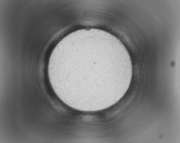 X0000116830400201001081442