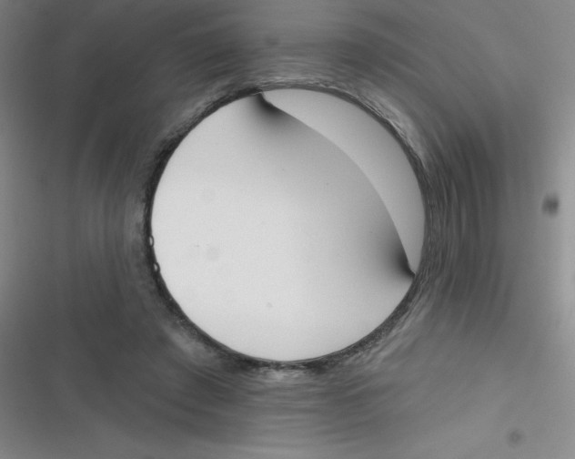 X0000116830401201001081442