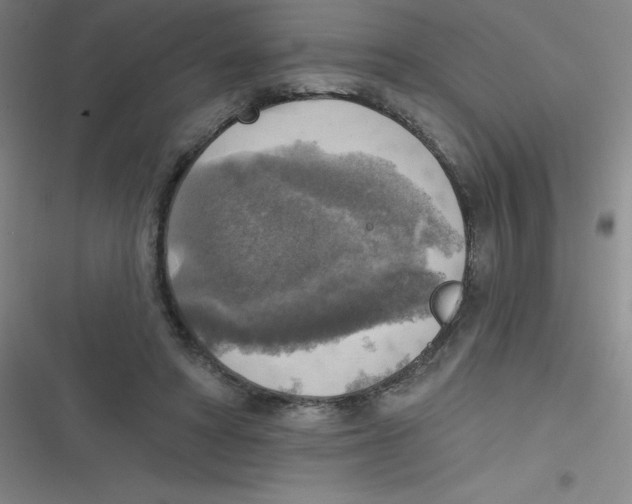 X0000116830402201001081442