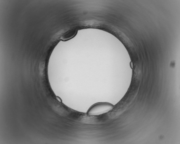 X0000116830403201001081442