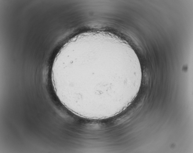 X0000116830404201001081442