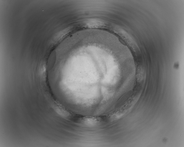 X0000116830405201001081442